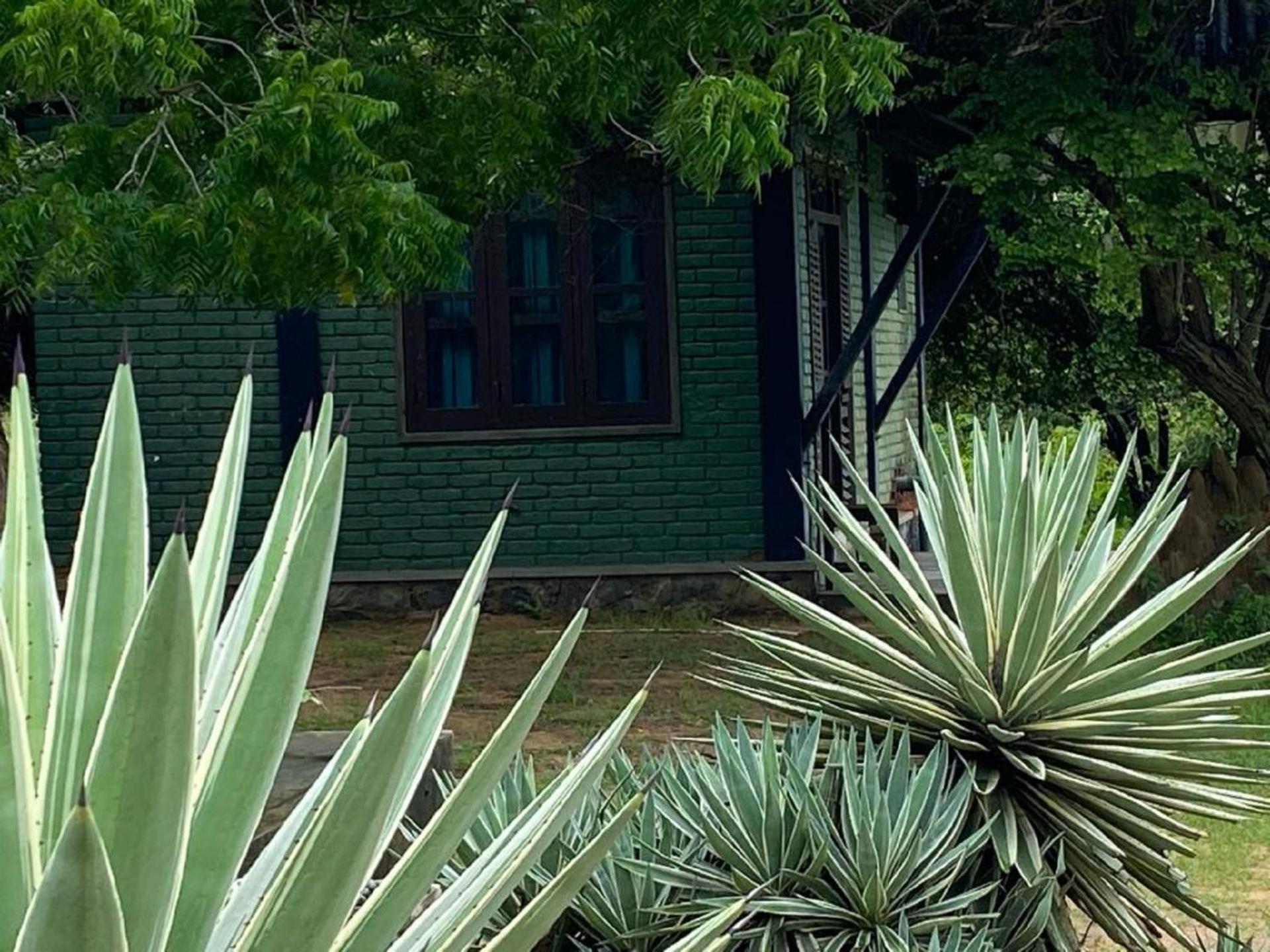 Yala Ying Yang Hostel & Camping Dış mekan fotoğraf