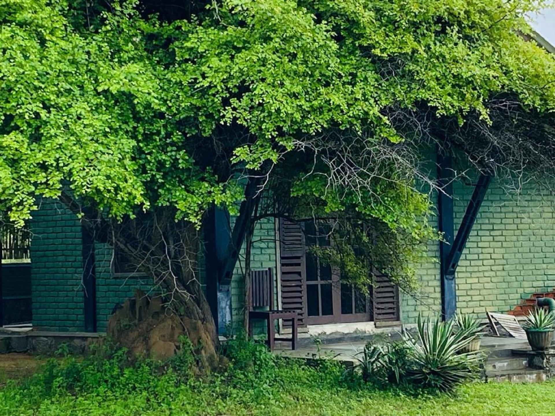 Yala Ying Yang Hostel & Camping Dış mekan fotoğraf