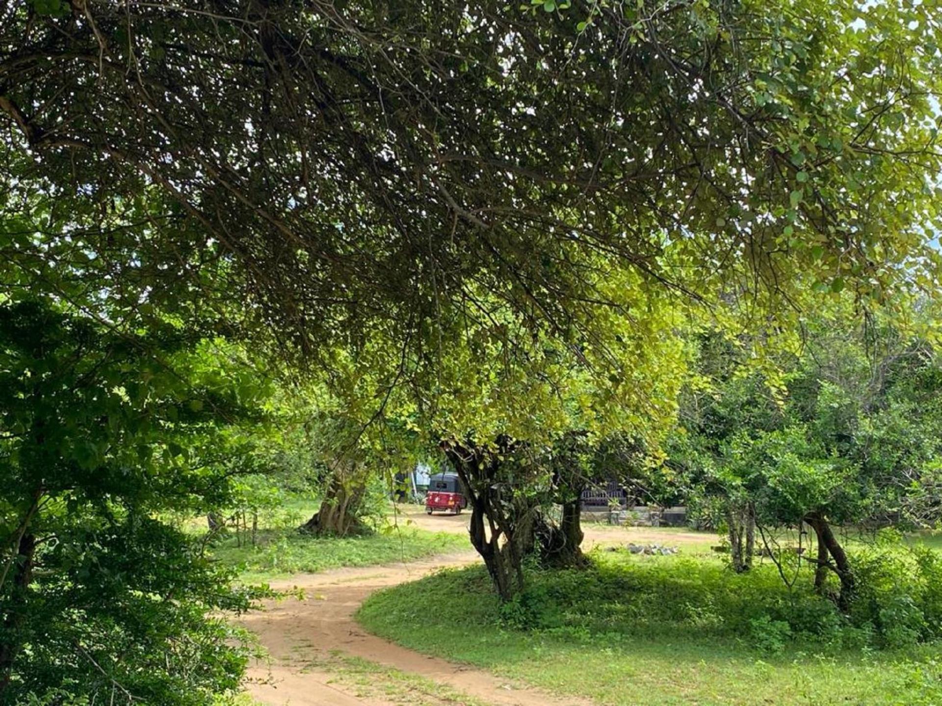 Yala Ying Yang Hostel & Camping Dış mekan fotoğraf