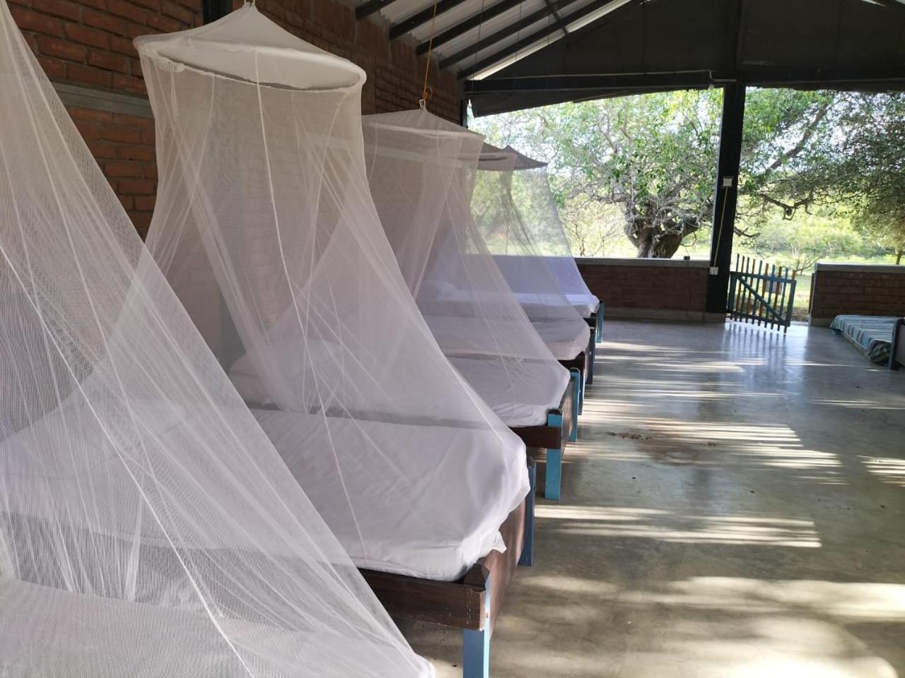 Yala Ying Yang Hostel & Camping Dış mekan fotoğraf